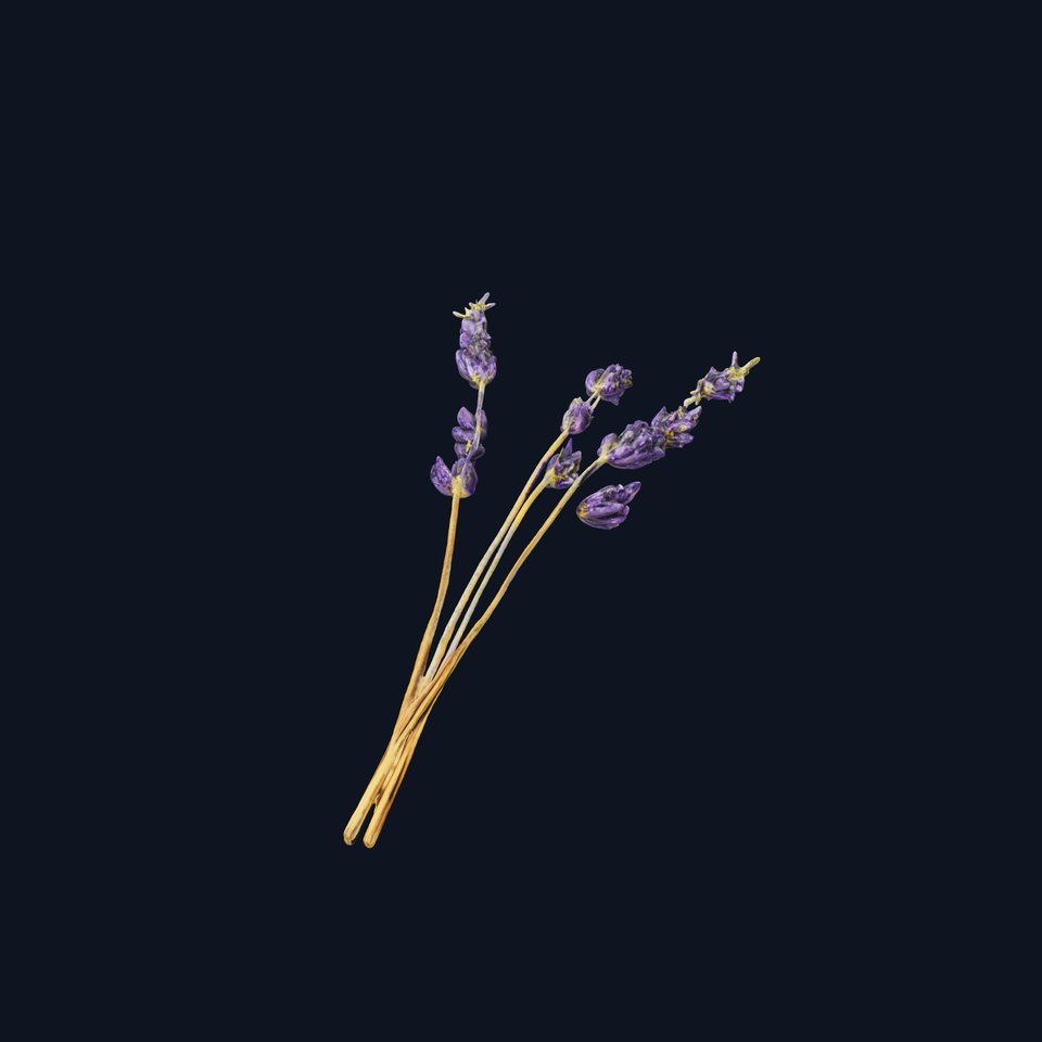 Lavender Bouquet D Model Pack